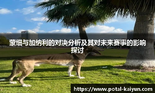 开云